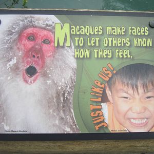 Jul. 2012-Macaque sign