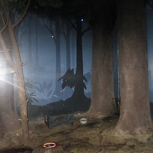 Jul. 2012-Common Vampire Bat/Southern Three-banded Armadillo exhibit