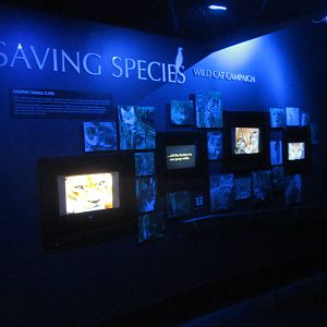 Jul. 2012-Saving Species area