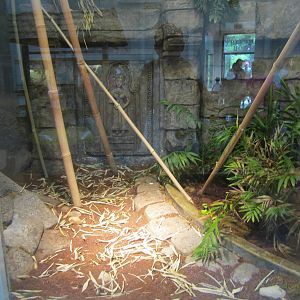 Jul. 2012-King Cobra exhibit