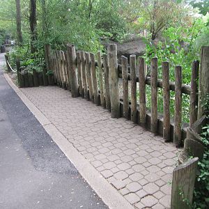 Jun. 2012-Przewalski's Horse exhibit viewing