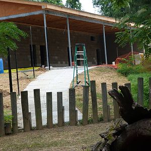 Sitatunga Barn Construction 8-1-12
