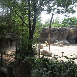 Jun. 2012-Sichuan Takin exhibit