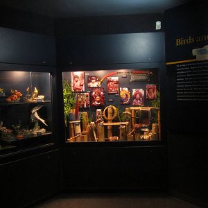 Jun. 2012-Birds and People