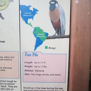Jun. 2012-New Boat-billed Heron sign