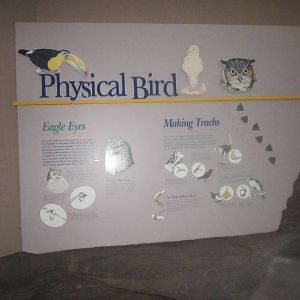 Jun. 2012-Educational Area in Wings of the World