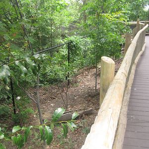 Jul. 2012-Empty Space in Wolf Woods