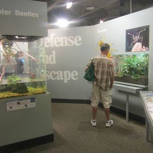 Jul. 2012-Defense and Escape section