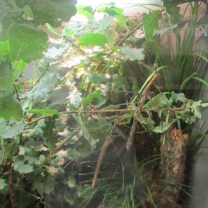 Jul. 2012-Giant Jumping Sticks (find all 4)