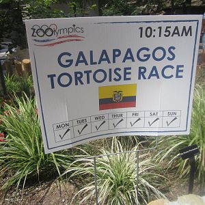 Jul. 2012-Zoolympics Sign