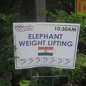 Jul. 2012-Zoolympics Sign