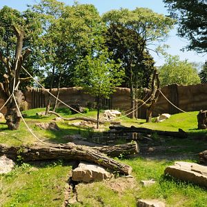 New Gorilla outdoor enclosure