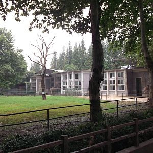 Giraffe house/enclosure