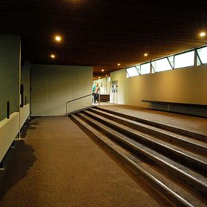 View into the cat house at Stuttgart