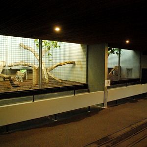 Row of indoor cat cages at Stuttgart