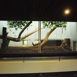 Cat indoor cage at Stuttgart