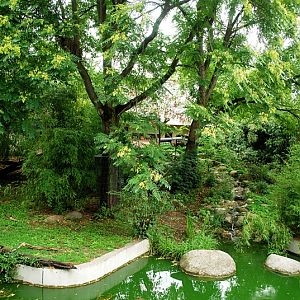 The tiger enclosure at Stuttgart