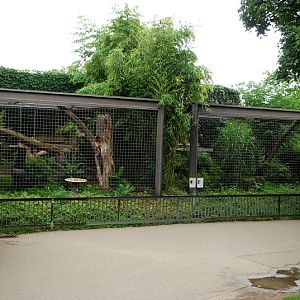 Cat outdoor cages at Stuttgart