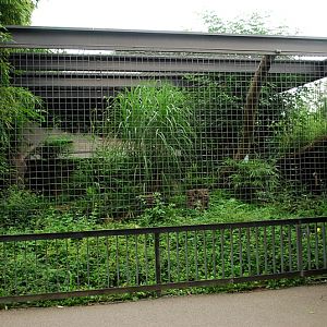 Leopard cage at Stuttgart