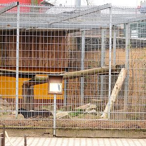 Leopard cage at Bad Pyrmont