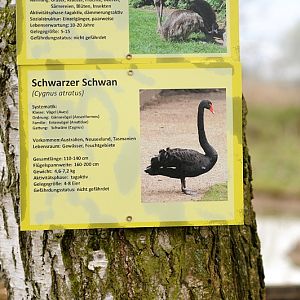 Sign Example at Bad Pyrmont