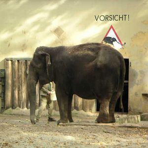 The last elephant at Gelsenkirchen