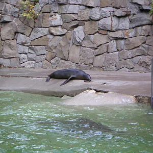Former seal pool at Gelsenkirchen