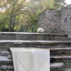 Former Polarbear enclosure at Gelsenkirchen