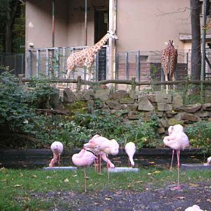 Former Panorama at Gelsenkirchen