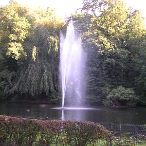 Former waterfowl lake at Gelsenkirchen