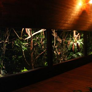 Wallaby Trail - Sugar Glider exhibit