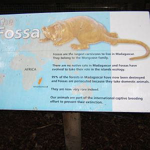 Signage example