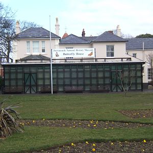 Portsmouth Natural History Museum and Butterfly house