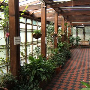 Portsmouth Natural History Museum and Butterfly house