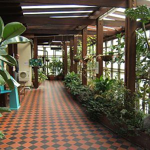 Portsmouth Natural History Museum and Butterfly house