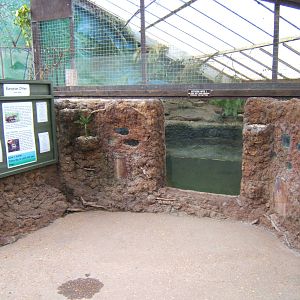 View of indoor Otter enclosure