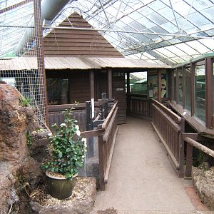 View of Mouse House