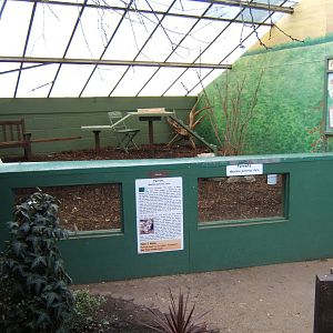 View of Ferret enclosure