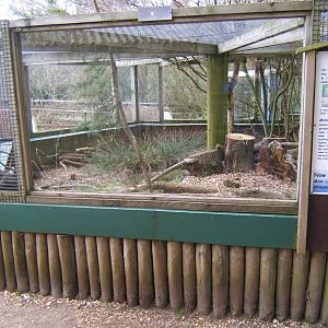 Amerixan Mink enclosure