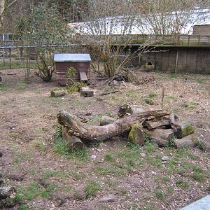 View of outdoor Otter Enclosure