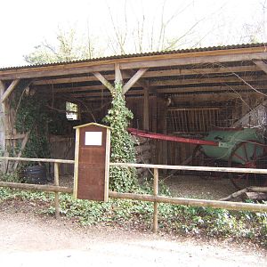 View of Owl aviary
