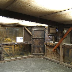 View of Barn exhibit