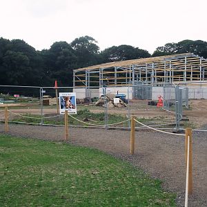 Giraffe House Construction at Yorkshire WP, 05/08/12