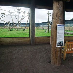 Leopard Heights at Yorkshire WP, 05/08/12