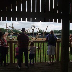 Leopard Heights at Yorkshire WP, 05/08/12