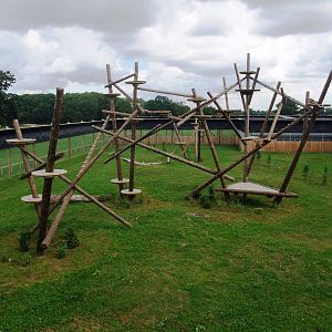 Leopard Heights at Yorkshire WP, 05/08/12