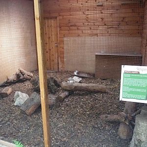 Skunk Exhibit at Yorkshire WP, 05/08/12