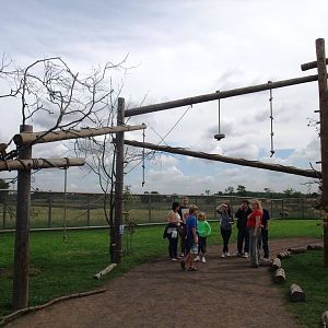 South America Viva at Yorkshire WP, 05/08/12