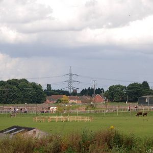 African Plains View at Yorkshire WP, 05/08/12