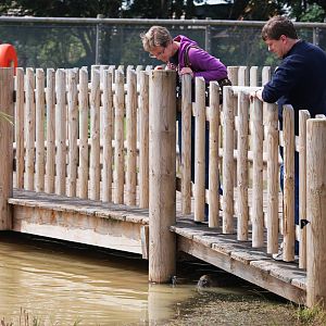 No Troll Under this Bridge at Yorkshire WP, 05/08/12